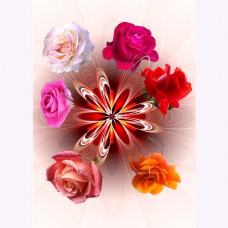 FRACTALIZATION GREETING CARD Ring of Roses